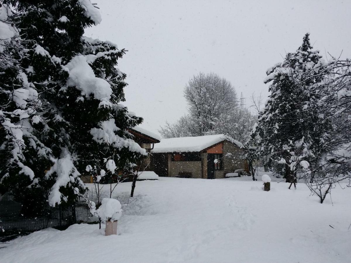 R&B Albero Cavo Parma Bed & Breakfast Екстериор снимка