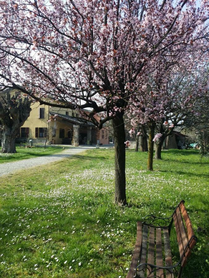 R&B Albero Cavo Parma Bed & Breakfast Екстериор снимка