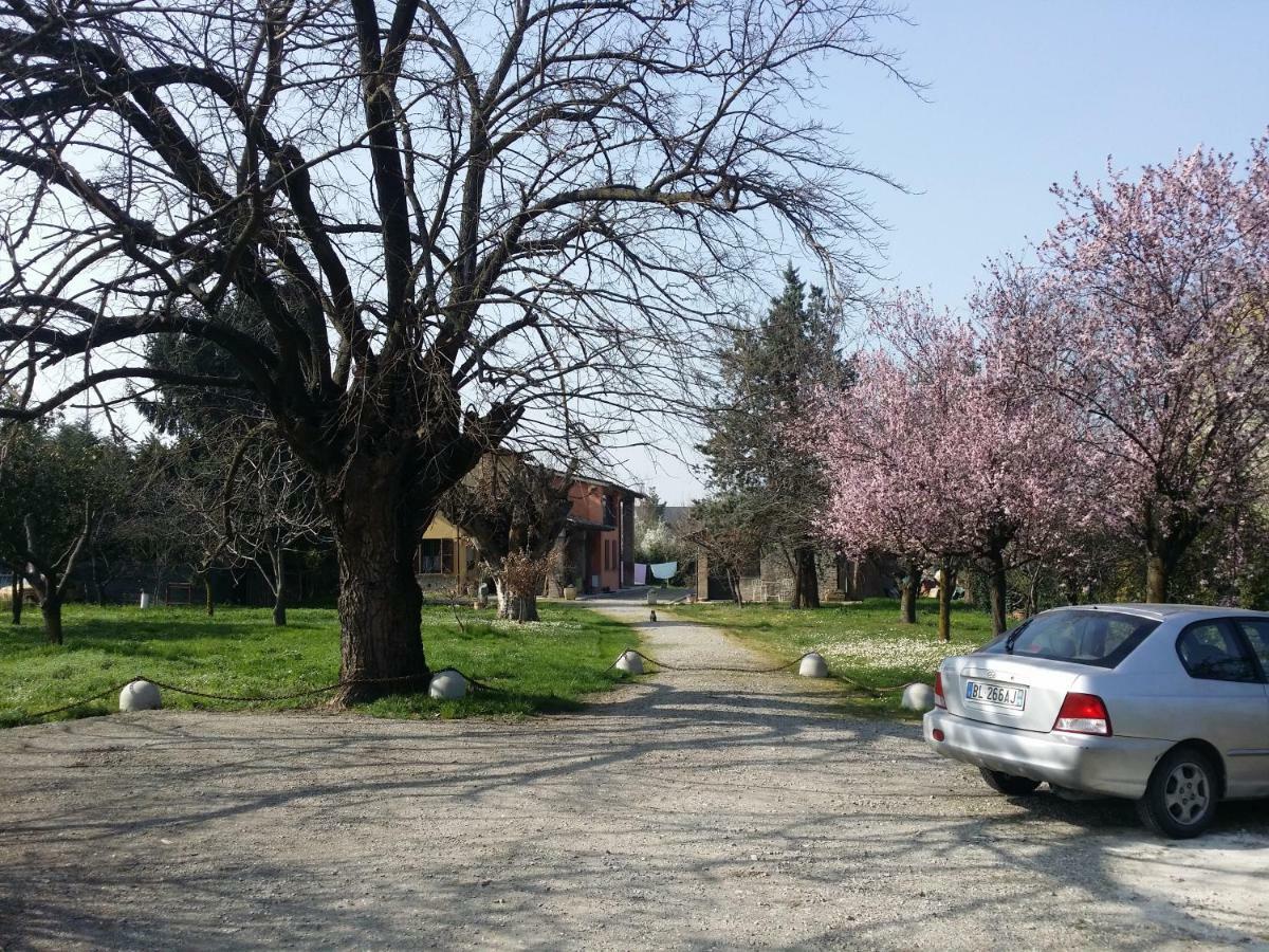 R&B Albero Cavo Parma Bed & Breakfast Екстериор снимка