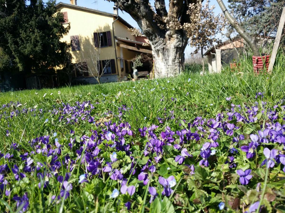 R&B Albero Cavo Parma Bed & Breakfast Екстериор снимка
