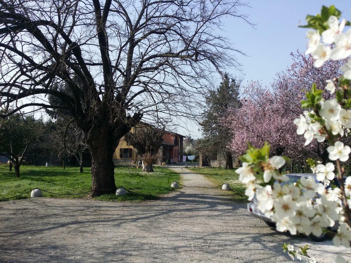 R&B Albero Cavo Parma Bed & Breakfast Екстериор снимка